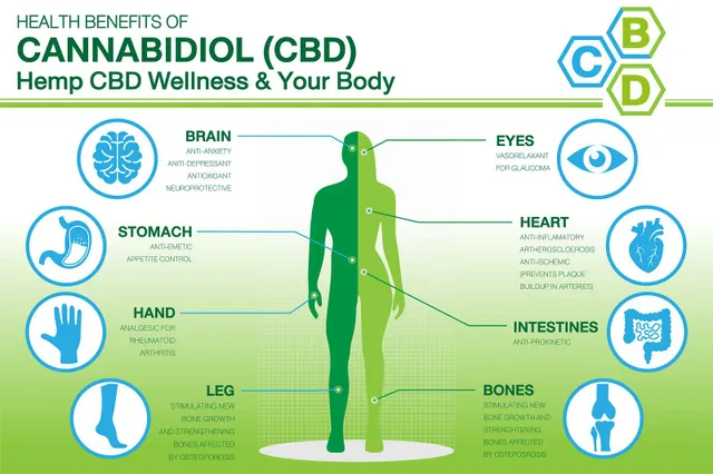 CBDオイルの健康上の利点トップ5 — および副作用の考察