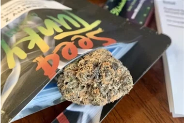 ヘンプとCBD: 違いは何ですか?